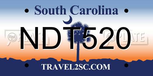 NDT520 South Carolina License Plate