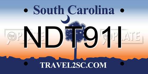 NDT91I South Carolina License Plate