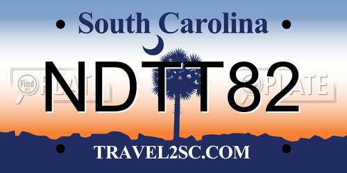 NDTT82 South Carolina License Plate