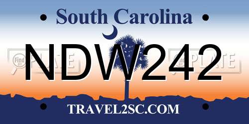 NDW242 South Carolina License Plate