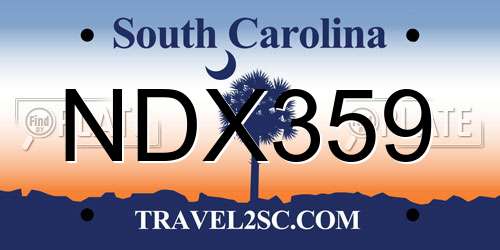NDX359 South Carolina License Plate