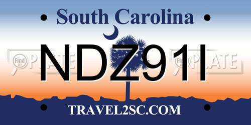 NDZ91I South Carolina License Plate