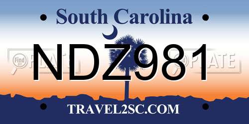 NDZ981 South Carolina License Plate
