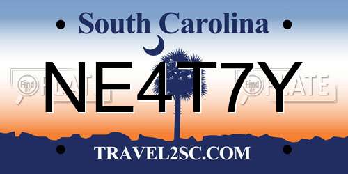 NE4T7Y South Carolina License Plate