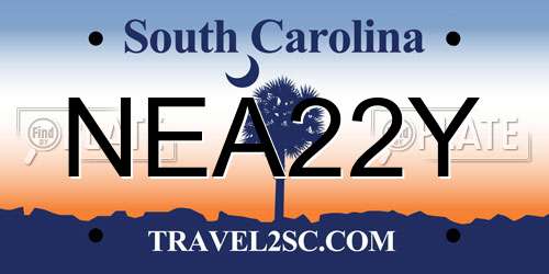 NEA22Y South Carolina License Plate