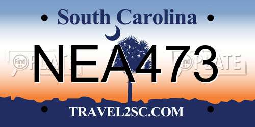 NEA473 South Carolina License Plate