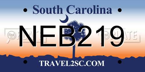 NEB219 South Carolina License Plate