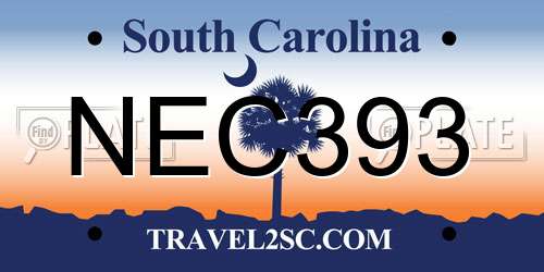 NEC393 South Carolina License Plate