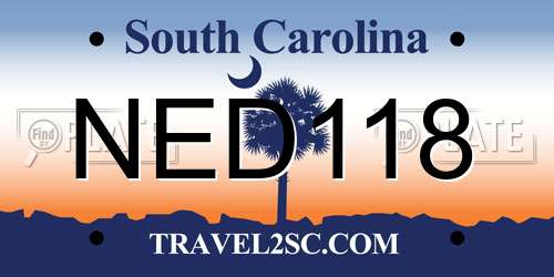 NED118 South Carolina License Plate
