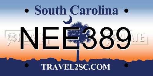 NEE389 South Carolina License Plate
