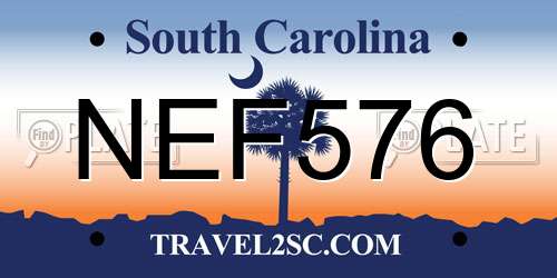 NEF576 South Carolina License Plate