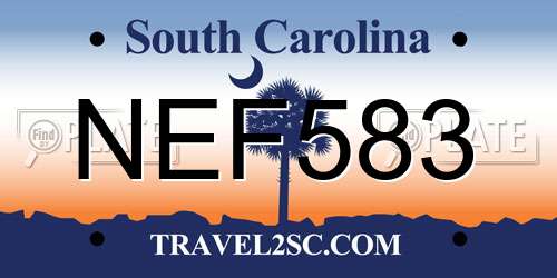NEF583 South Carolina License Plate