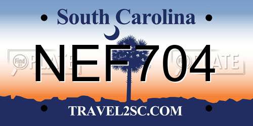 NEF704 South Carolina License Plate
