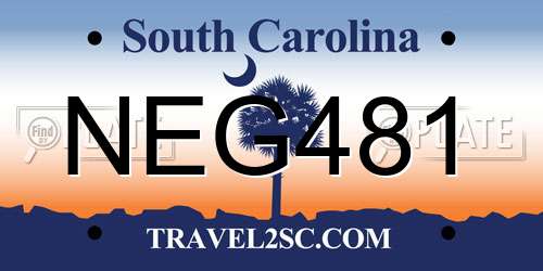 NEG481 South Carolina License Plate