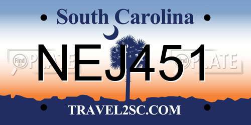 NEJ451 South Carolina License Plate