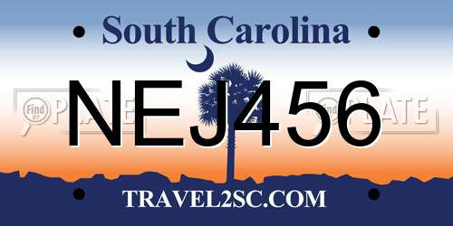 NEJ456 South Carolina License Plate