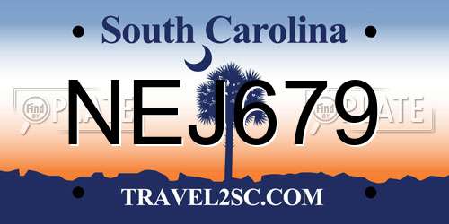 NEJ679 South Carolina License Plate