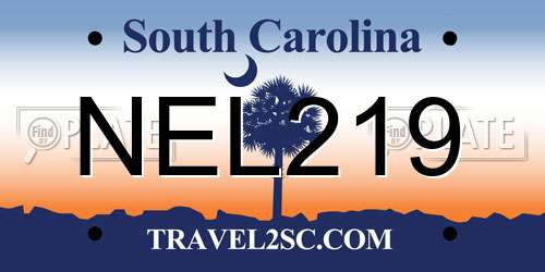 NEL219 South Carolina License Plate
