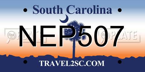 NEP507 South Carolina License Plate