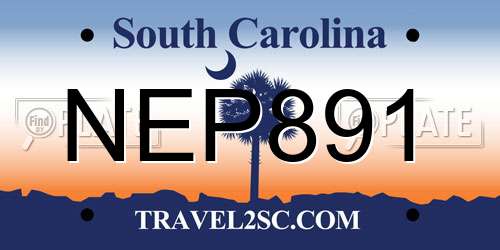 NEP891 South Carolina License Plate