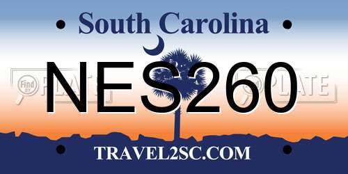 NES260 South Carolina License Plate