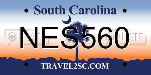 NES560 South Carolina License Plate