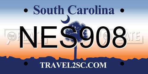 NES908 South Carolina License Plate