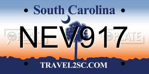 NEV917 South Carolina License Plate