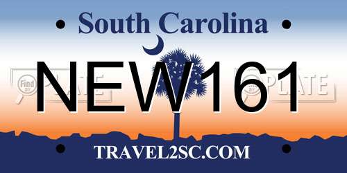 NEW161 South Carolina License Plate