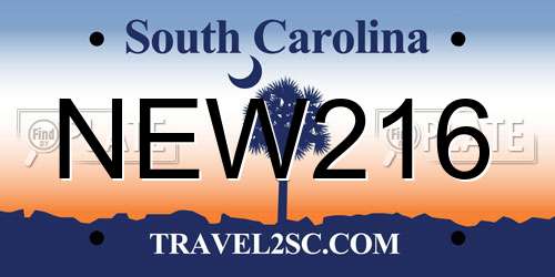 NEW216 South Carolina License Plate