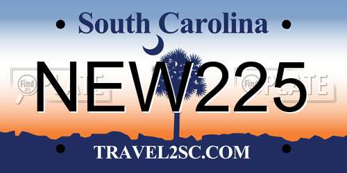 NEW225 South Carolina License Plate