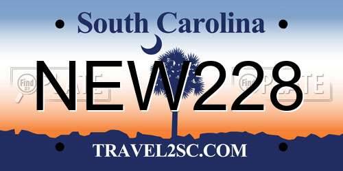 NEW228 South Carolina License Plate