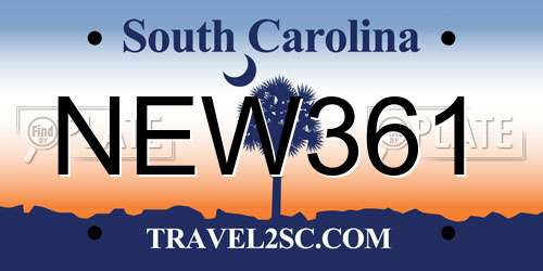 NEW361 South Carolina License Plate