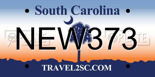 NEW373 South Carolina License Plate