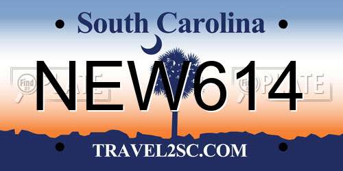 NEW614 South Carolina License Plate