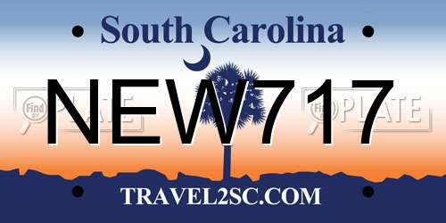 NEW717 South Carolina License Plate