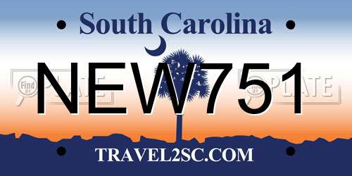 NEW751 South Carolina License Plate
