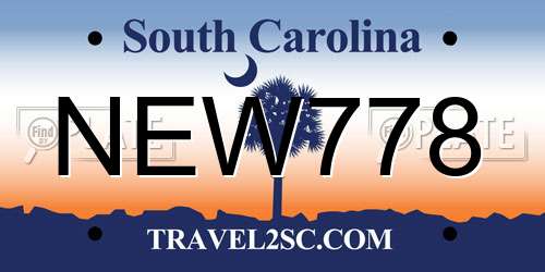 NEW778 South Carolina License Plate
