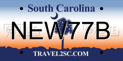 NEW77B South Carolina License Plate