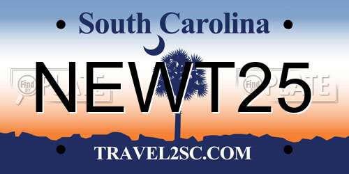 NEWT25 South Carolina License Plate