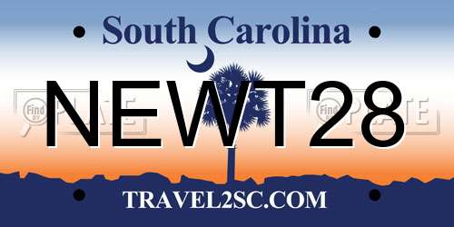 NEWT28 South Carolina License Plate