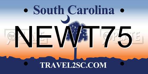 NEWT75 South Carolina License Plate