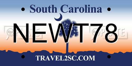 NEWT78 South Carolina License Plate
