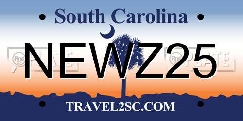 NEWZ25 South Carolina License Plate