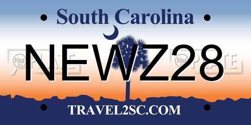NEWZ28 South Carolina License Plate