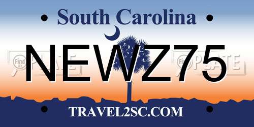 NEWZ75 South Carolina License Plate