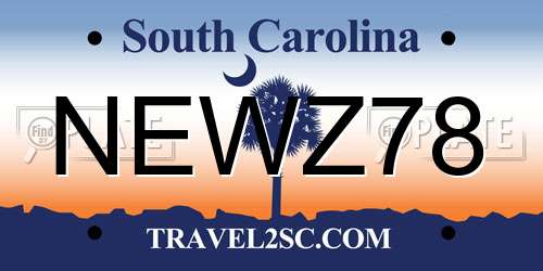 NEWZ78 South Carolina License Plate