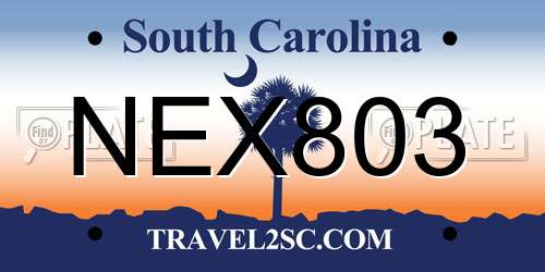NEX803 South Carolina License Plate