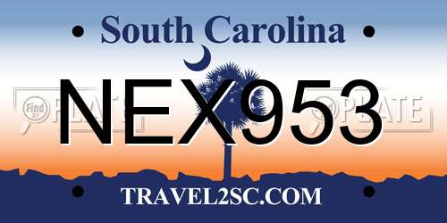 NEX953 South Carolina License Plate