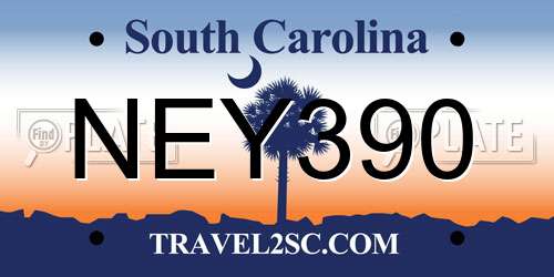 NEY390 South Carolina License Plate
